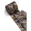 HISDERN Extra Long Floral Paisley Tie Handkerchief Men's Necktie &