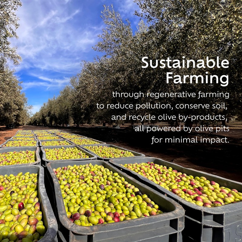 Noor Fes Noor Fs Award Winning Polyphenol Rich Olive Oil
