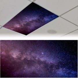2PCS Fluorescent Light Covers for Classroom Ceiling Lights Magnetic Light Covers,Fluorescent Light Filters for School Home Office Drop Ceiling Lamp Decor Light Filters 4x2Feet(Dolphin)