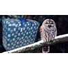 Storage Bags Water & Dust Resistant. Double zipped storage bags