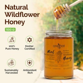 OneRoot Natural Wildflower Honey - 1.1 lbs / 500g, Pure Canadian Boreal Forest - Unpasteurized, Minimally Filtered & Single-Source - Rich in Enzymes & Antioxidants - Raw Liquid Honey
