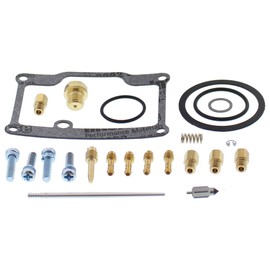 All Balls Racing 26-1891 Carburetor Rebuild Kit Compatible with/Replacement for Arctic Cat Jag 440 1993-1995, Jag Deluxe 1993-1996, Jag FC/2 1995 1996, Panther 370 1999-2008
