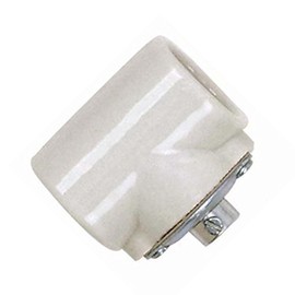 Satco 80-1225 Twin Porcelain Socket with Flange Bushing Cap, Color
