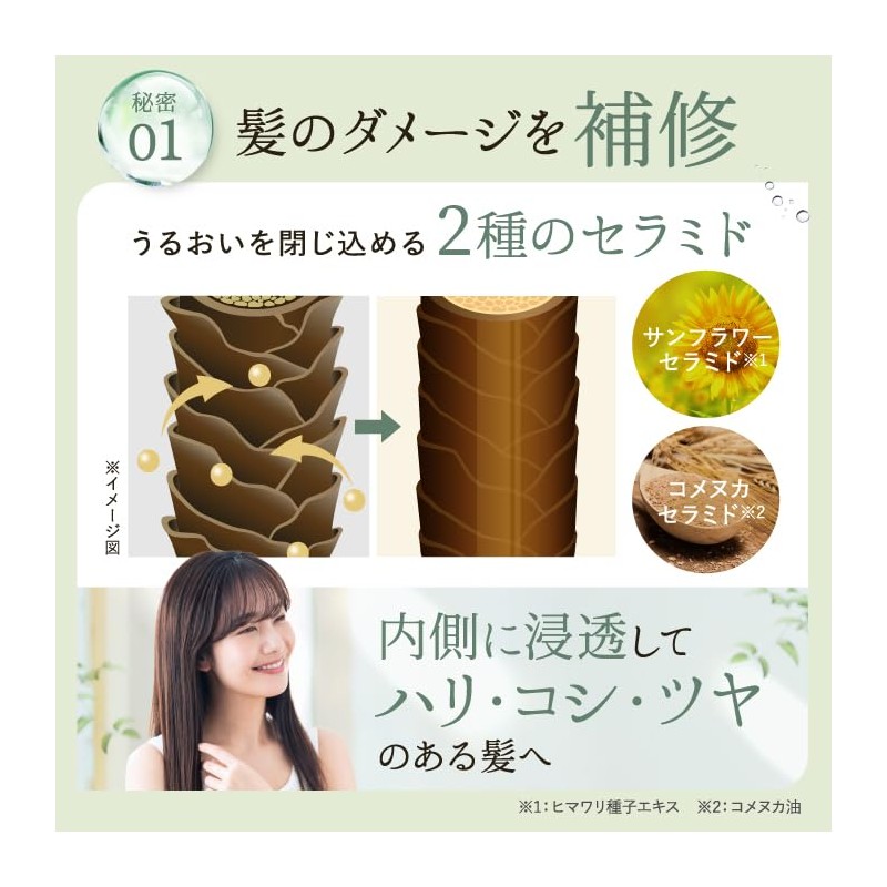 Rebena Organic Shampoo Treatment Refill Beauty Salon Exclusive Organic Shampoo