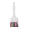 Salon Care Rainbow Bristle Tint Brush