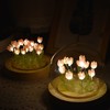 DINOWIN Tulip Lamp, Table Night Light DIY Kit, 13 Pcs,