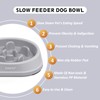 YINEYA 2Pcs Slow Feeder Dog Bowls Small Size Dog, Anti-Choking