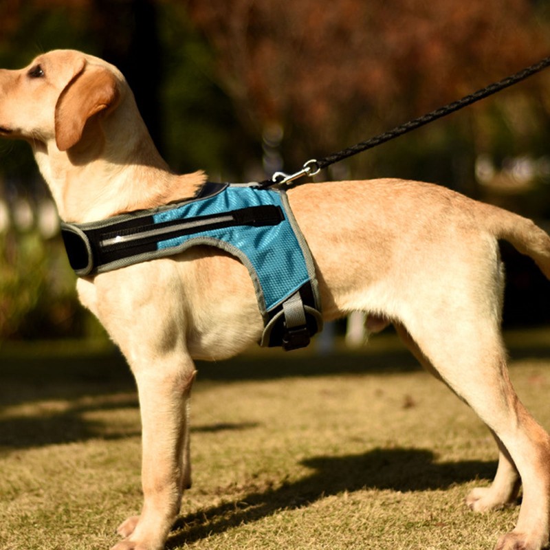Dog Harness with LED Light Adjustable Comfortable Relieve Neck Pressure