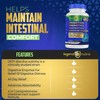 Legend Nutra Probiotics Prebiotics Postbiotics Digestive Enzymes 4 in 1