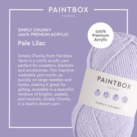 Paintbox Yarns Simply Chunky - Acrylic Yarn - 149yds (136m)/ 100g (3.53oz) - Pale Lilac Acrylic Knitting Wool for Crochet - Soft & Durable - Bulky Knit - Great for Sweaters, Blankets, Accessories