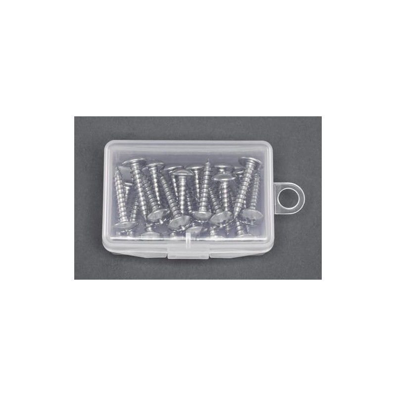 0.2 x 0.8 inch (5 x 20 mm) Truss Head