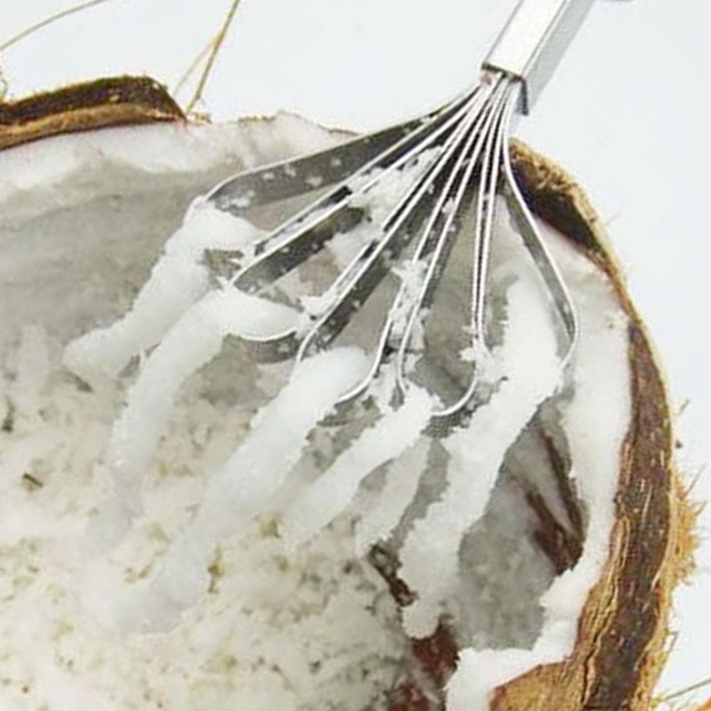 2Pcs Coconut Grater Stainless Steel Coconut Scraper Coconut Grater Fish