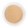 [Chamgoods] Organic Rosehip Powder 120g 5 cans / [참굿즈] 유기농