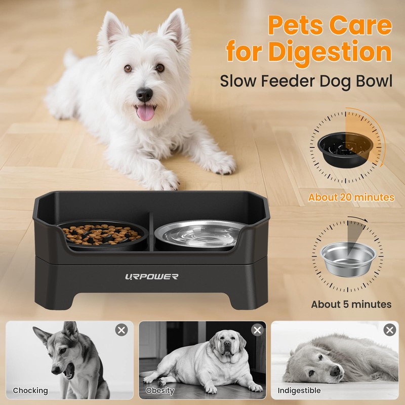 URPOWER Mess Proof Elevated Dog Bowls 4 Height Adjustable Raised