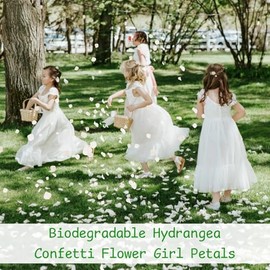 1500 piezas de pétalos de flores de hortensia blanca marfil reales y secas - Pétalos naturales pequeños para bodas, confeti de fiesta, noche romántica, decoración de propuesta, manualidades (30 g)