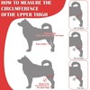 Dog Knee Brace Accelerate Recovery and Blood Circulation Dog Torn