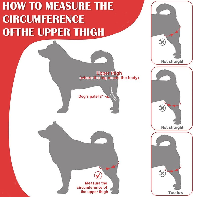 Dog Knee Brace Accelerate Recovery and Blood Circulation Dog Torn
