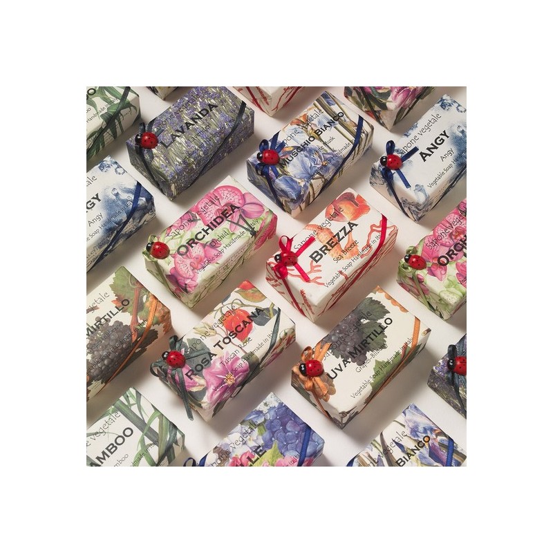 Alchimia Ladybug Soap - White Musk / 알키미아 무당벌레 비누