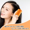 PAVIKE Head Lice Remover Comb, Egg Control Comb, Dandruff Comb,