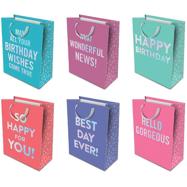 Studio Oh! 6-Piece All-Occasion Gift Bag Assortment, Hologram Words