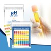 Plastic pH Test Strips, Universal Application (pH 0-14), 100 Strips
