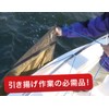 BMO JAPAN BM-SAMR-1200 Main Rope, φ0.4 inch (10 mm), 49.2