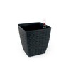 TREATLIFE HOME 2-Pack Hand Woven Wicker Planters with Self-Watering System,