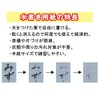 Akashiya Water Book Set