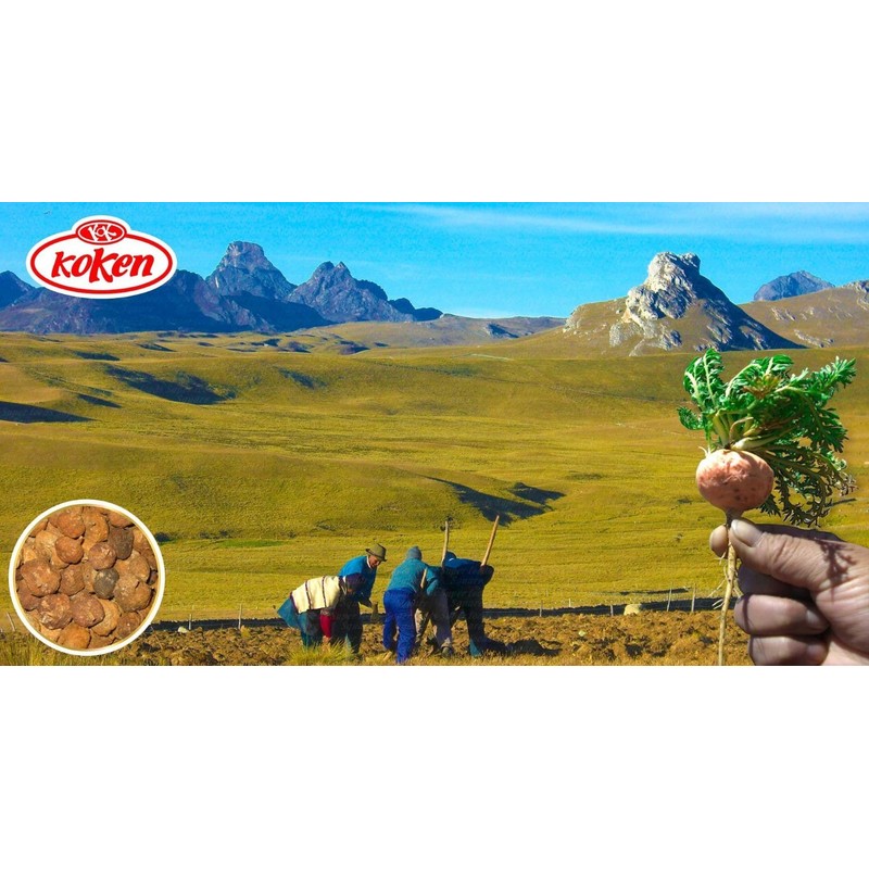 Koken Genki no Moto Maca Powder 200g Organic JAS Certified