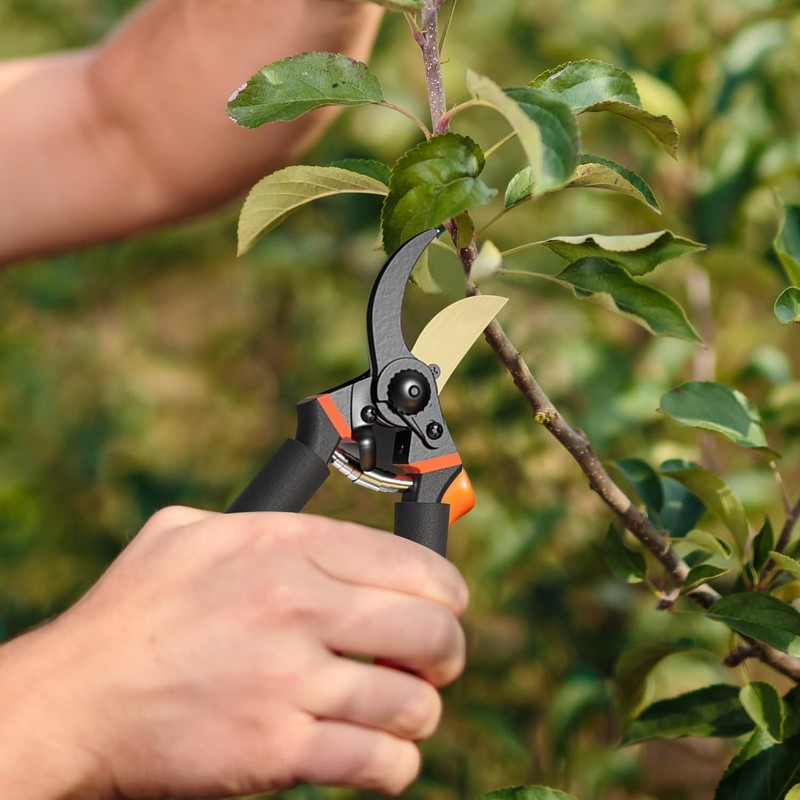 8.3” Secateurs, Bypass Pruning Shears with Replacement Blades and Springs,