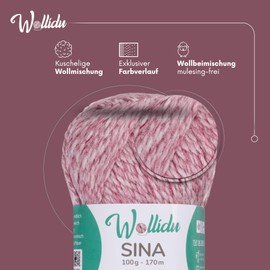 Wollidu Sina Wolle zum Stricken und Häkeln 100g Premium Strickwolle/Häkelwolle Set OEKO-TEX zertifiziert 1 x 100g/170m 80% Polyacryl 20% Schafwolle mulesing-frei - Altrosa Melange