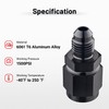 EVIL ENERGY 16AN Male Flare to 1-1/4" NPT Pipe Fitting