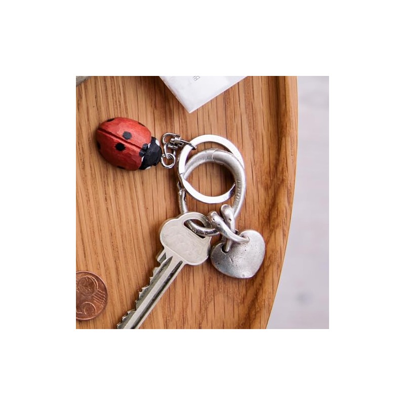 WILDLIFEGARDEN WG4709 Ladybird Keyring, multicoloured