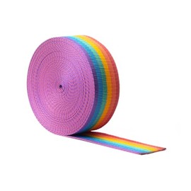 Realm Heavy Duty Polypropylene Webbing Strap Tape for Backpacks, Rucksack, Luggage/Cargo Strapping, Luggage, 1 Metre, 3 Metre (Rainbow, 25mm - 1 Metre)