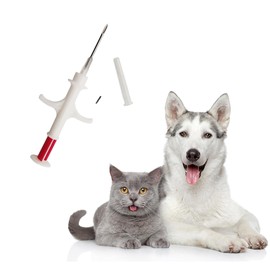 Microchip for Dogs, 134.2khz FDX-B ISO11784/11785 Universal Pet Microchip, Animal Implantable Chip for Management and Tracking of Dogs, Cats and Pigs (100 Pack, 1.25X7mm)