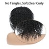 Fallsea Black Afro Curly Wigs For Black Women Short Kinky