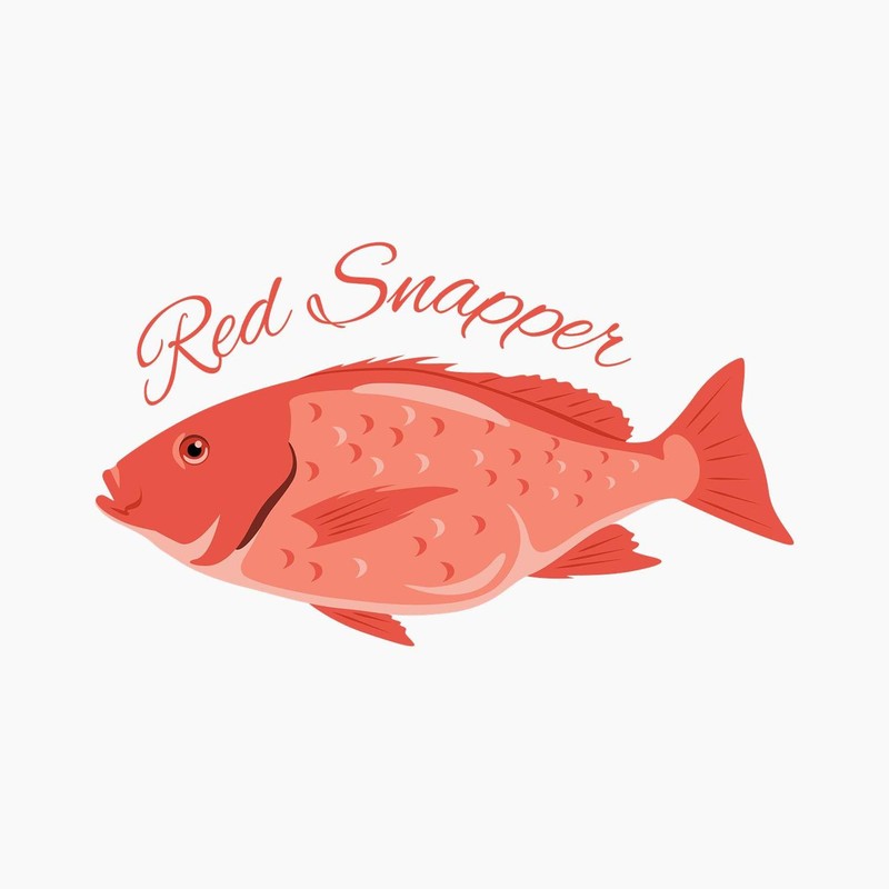 CafePress Red Snapper Fish Magnets 2.25" Round Magnet, Refrigerator Magnet