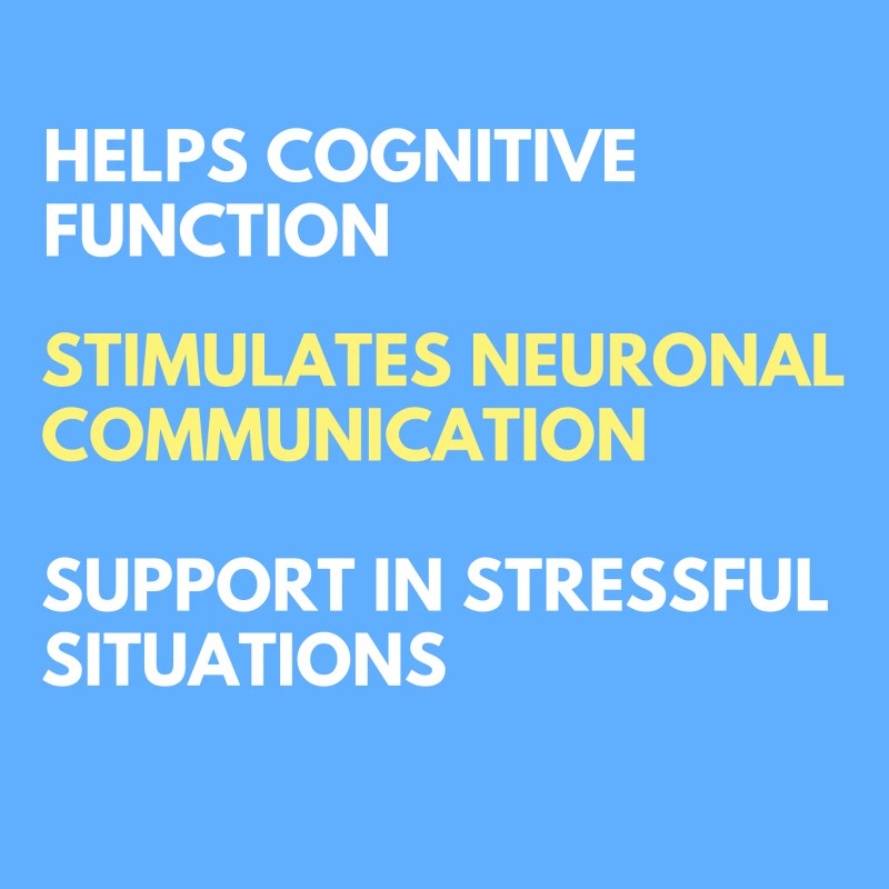 Arymar Glucofos 60 Tablets - L-Glutamic Acid & Brain Health