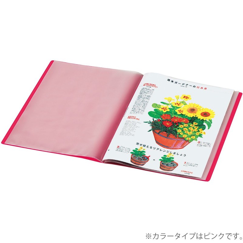 Kokuyo A4 Carry-All Clear Book, Fixed Back Pocket