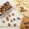Sawysine 80 Pcs Wood Push Pins, Wood Thumb Tacks Decorative