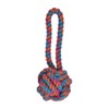 Fancy Pets Juguete de SOGA con Pelota de Hilo para