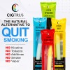 Cigtrus ICY Peppermint & Lemon Lime (6-Piece)