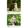 Dog Magic Retriever Calendar for 2025 Format 10 cm x