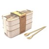 STR-Eco-Friendly Compact Bento Lunch Box Set with Spoon, 3-in-1 Compartment