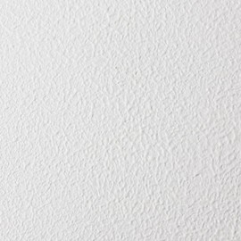 DuraTex® Speaker Paint, Roller Grade, Texture Coating for Speaker Cabinets & Road Cases, Water-Based Finish (White Gallon)