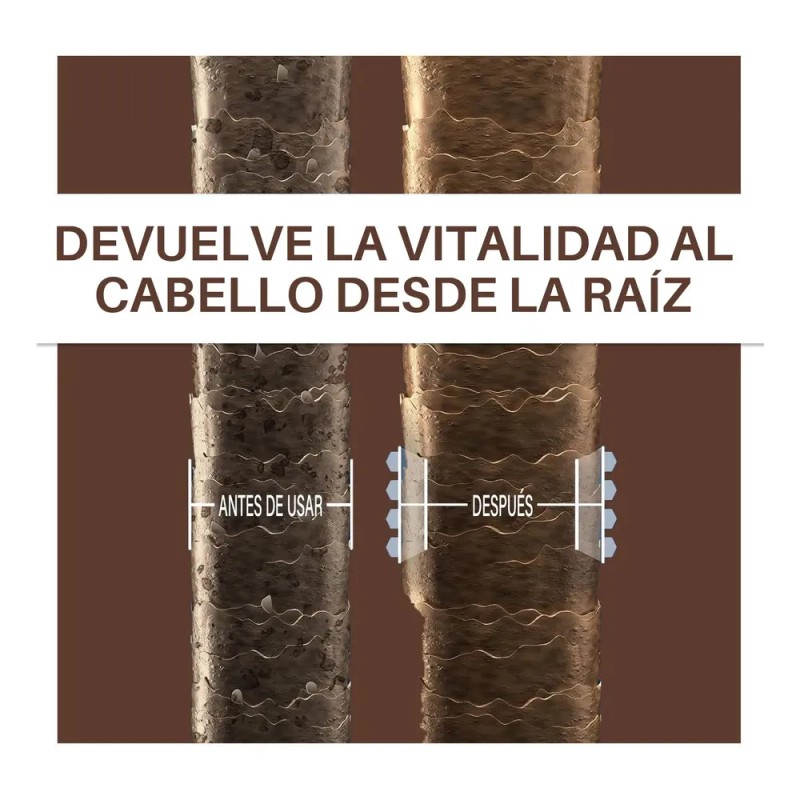 Shampoo Canas Desvanecedor Progresivo De Canas Para Hombres
