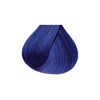 Kiss Tintation Semi-Permanent Hair Color 5 Ounce (Blue Moonlight (2