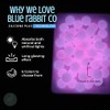 Violet Glow in The Dark Silicone Beads by BLUE RABBIT