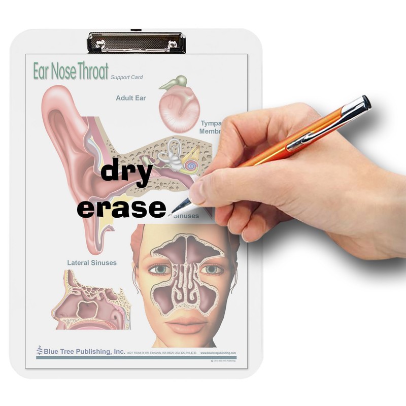 Ear Nose and Throat Insert Clipboard