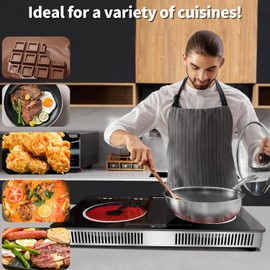 Karinear 2 Burner Electric Cooktop 110V, Portable Electric Stove with Handle, Knob Control Electric Hot Plate, Ceramic Infrared Countertop Burner, Timer, Safety Lock, 9 Power Level, 2000W, 24 inch